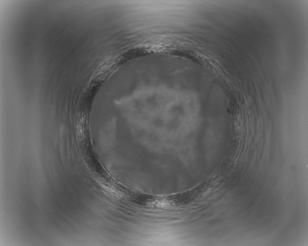 X0000061140503200512022251