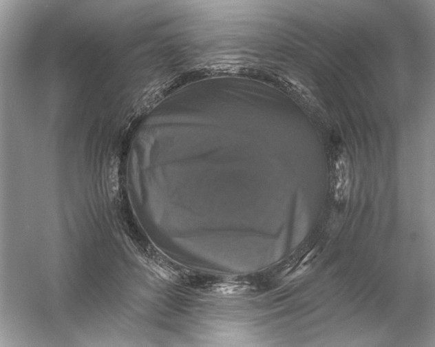 X0000061140504200512022251