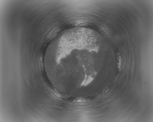 X0000061140506200512022251