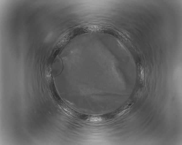 X0000061140507200512022251