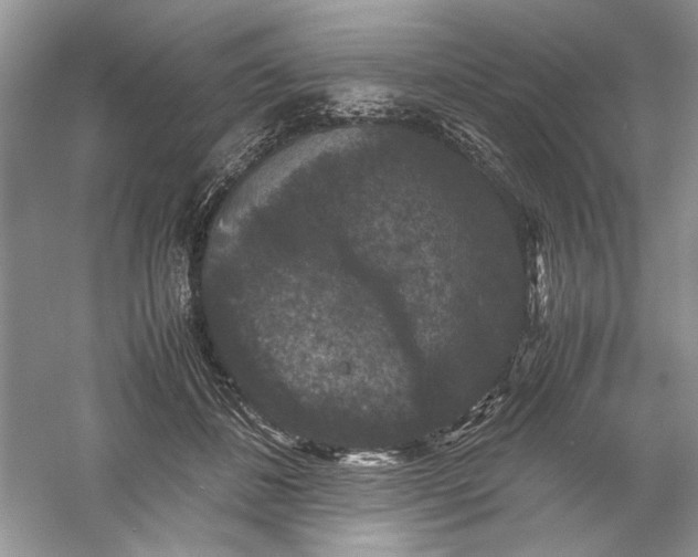 X0000061140508200512022251