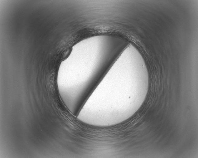 X0000061140509200512022251