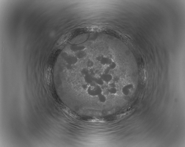 X0000061140511200512022251