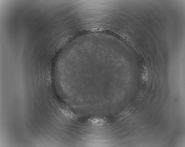 X0000061140512200512022251