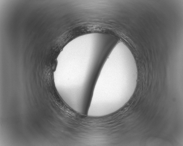 X0000061140513200512022251