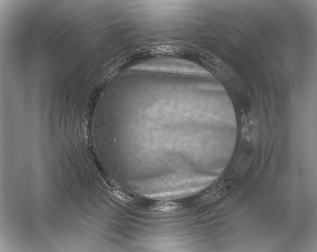 X0000061140514200512022251