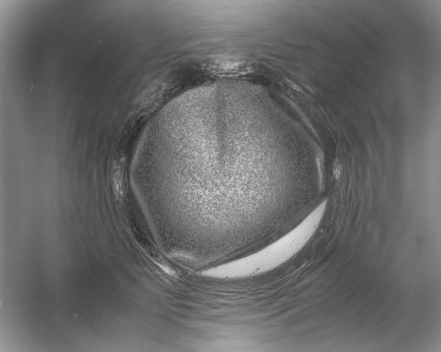 X0000061140515200512022251