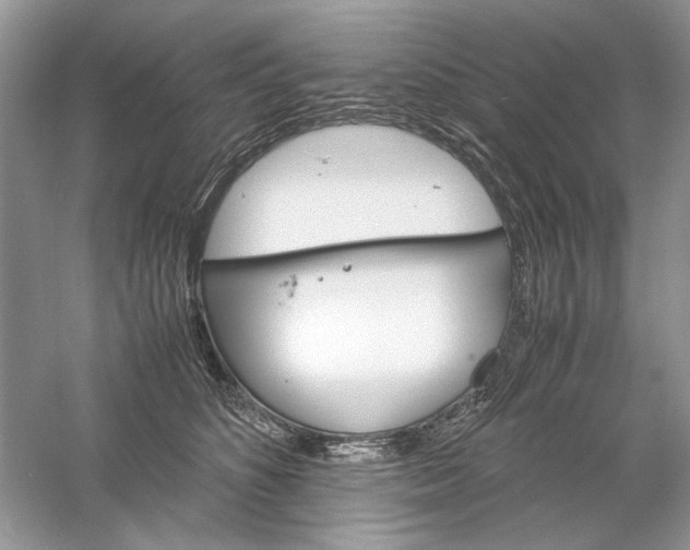 X0000061140516200512022251