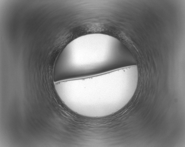 X0000061140517200512022251