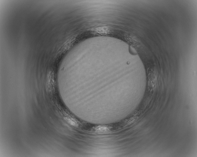 X0000061140518200512022251