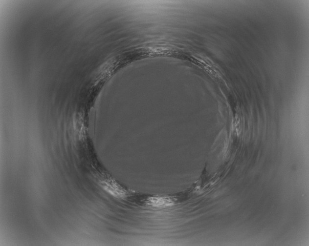 X0000061140520200512022251