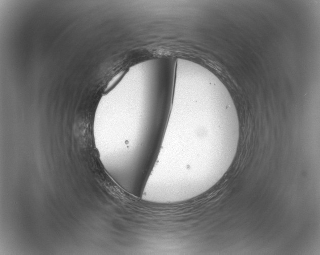 X0000061140521200512022251