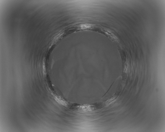 X0000061140524200512022251