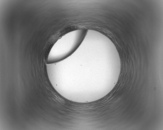 X0000061140525200512022251