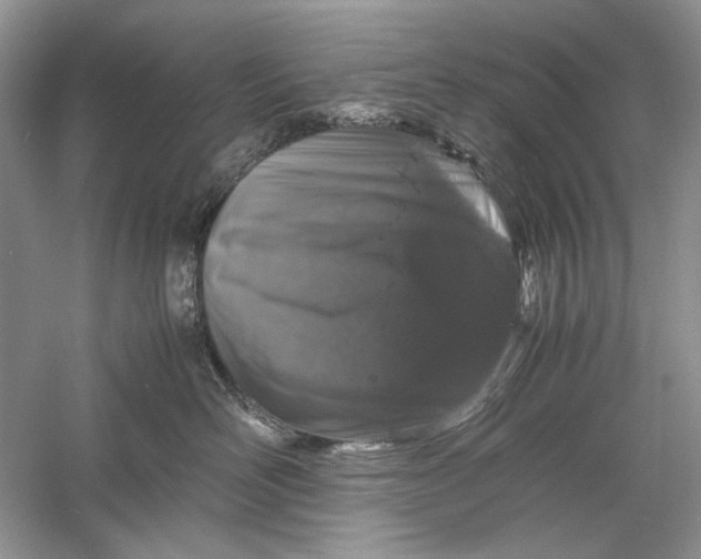 X0000061140526200512022251