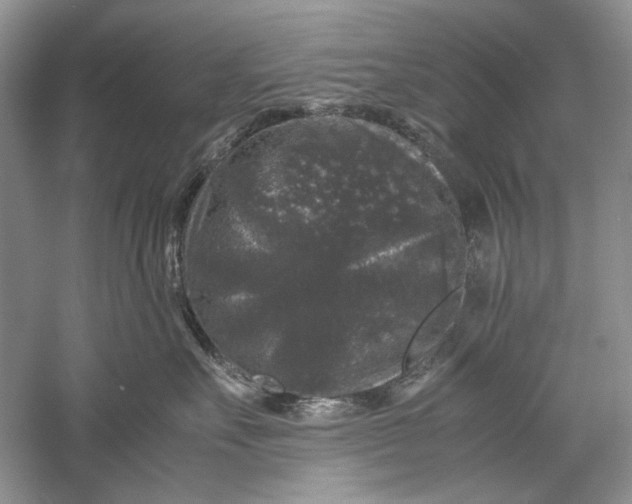 X0000061140527200512022251