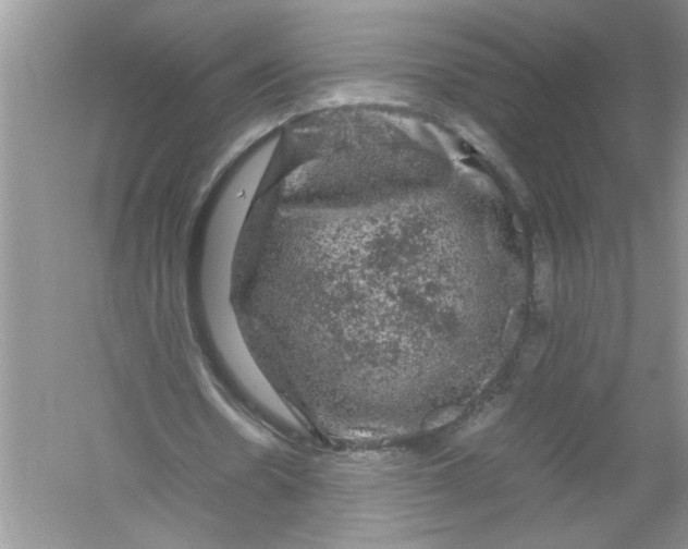 X0000061140530200512022250