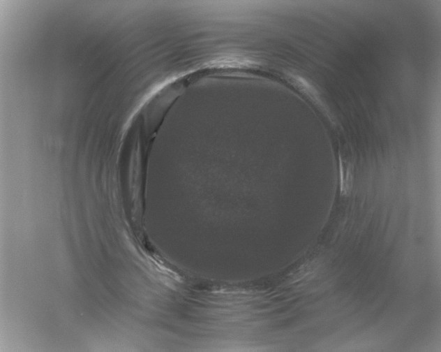 X0000061140531200512022250