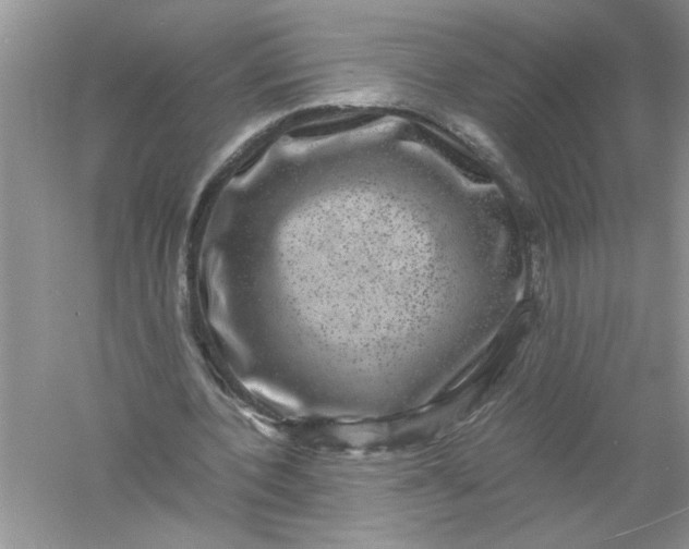 X0000061140532200512022250