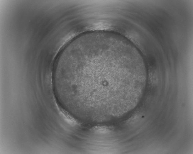 X0000061140534200512022250