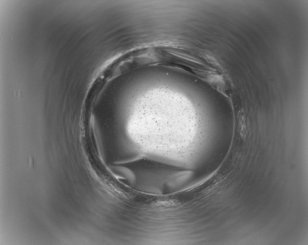 X0000061140536200512022250