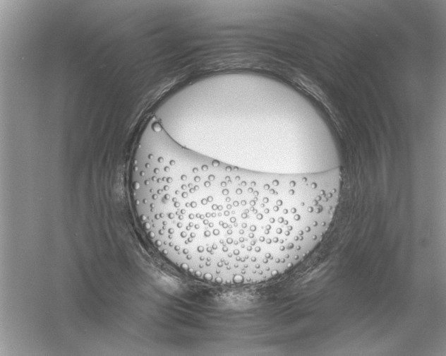 X0000061140537200512022250