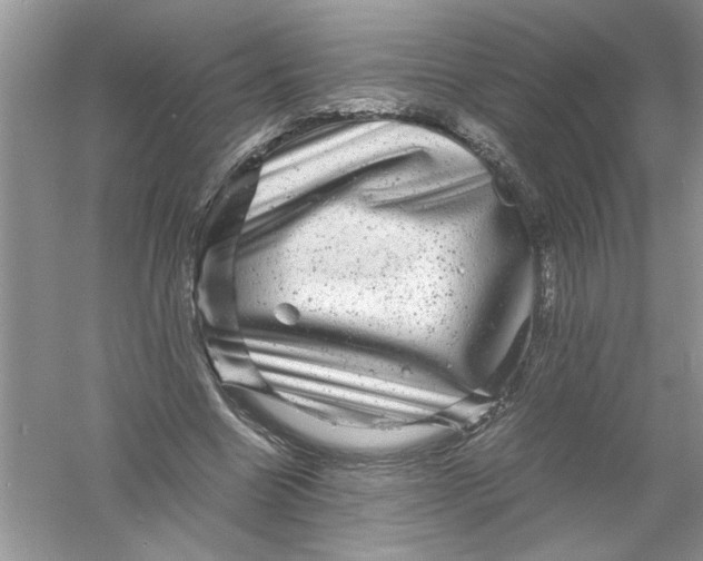 X0000061140538200512022250