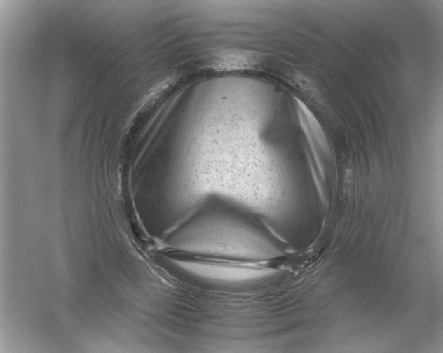 X0000061140539200512022250