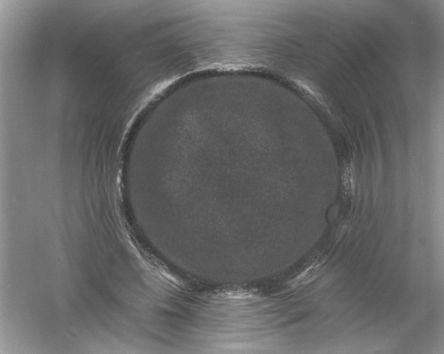 X0000061140540200512022250