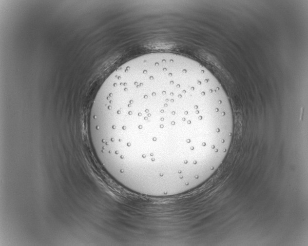 X0000061140541200512022250