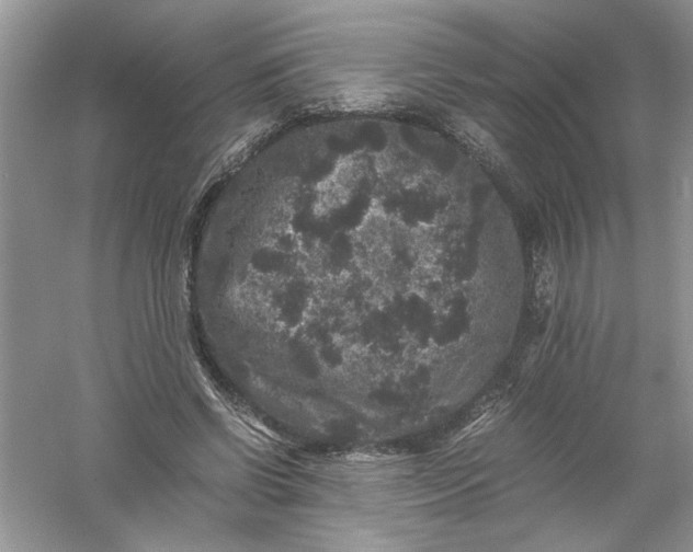 X0000061140542200512022250