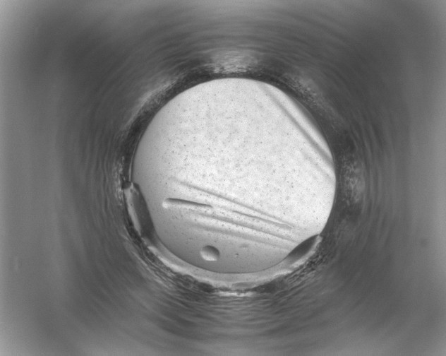 X0000061140543200512022250