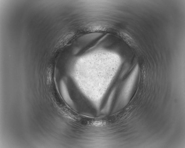 X0000061140546200512022250