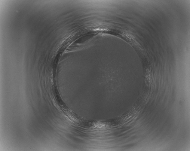 X0000061140547200512022250