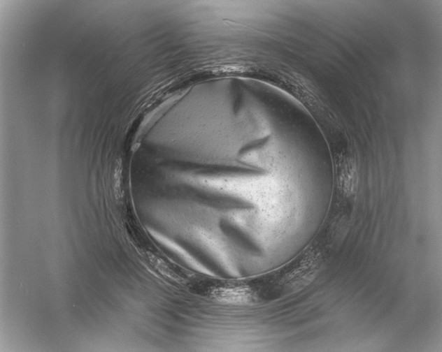 X0000061140548200512022250