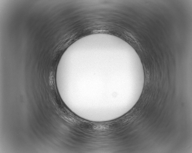 X0000061140549200512022250