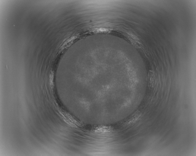 X0000061140550200512022250