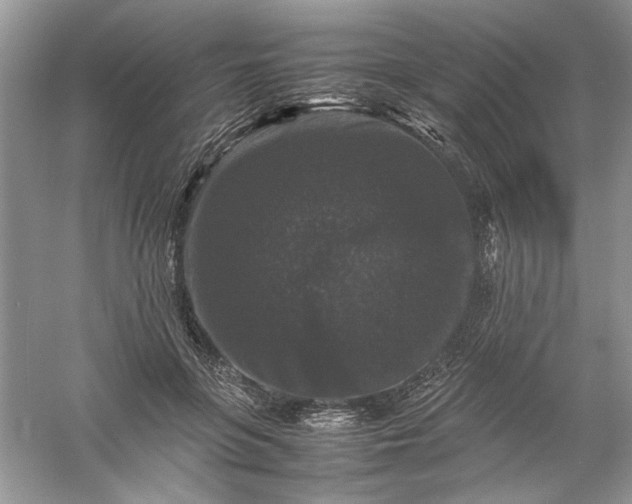 X0000061140551200512022250