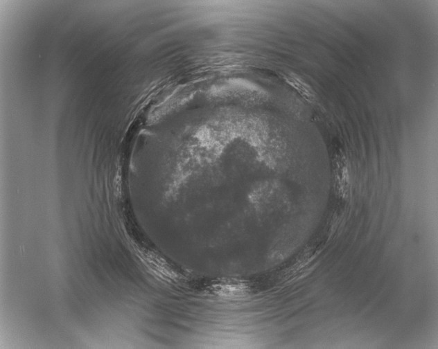 X0000061140552200512022250