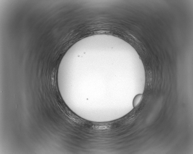 X0000061140553200512022250