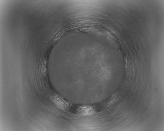 X0000061140554200512022250