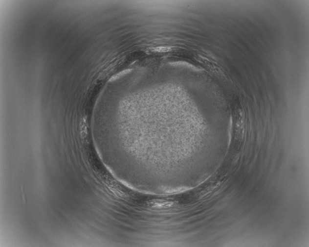 X0000061140555200512022250