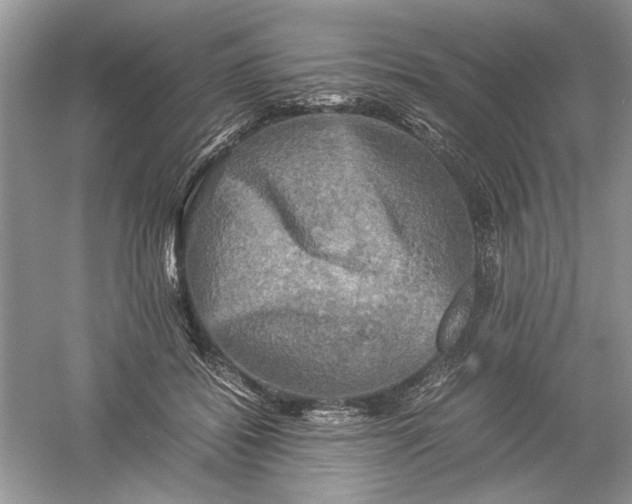 X0000061140556200512022250