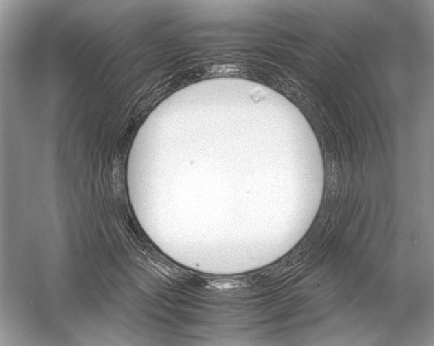 X0000061140557200512022250