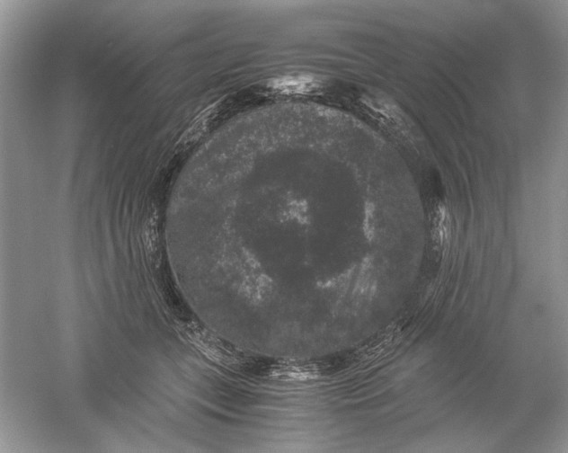 X0000061140559200512022250