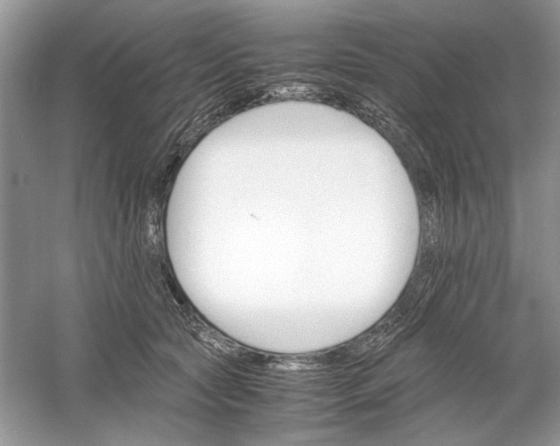 X0000061140561200512022250