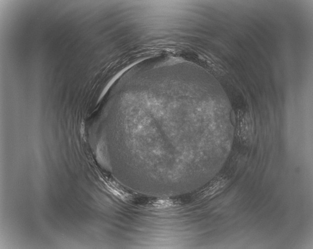 X0000061140562200512022250