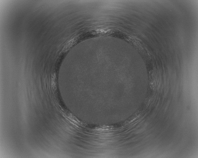 X0000061140563200512022250