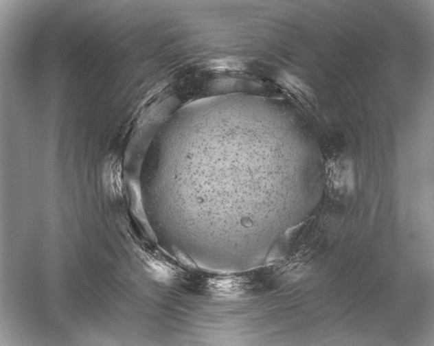 X0000061140564200512022250