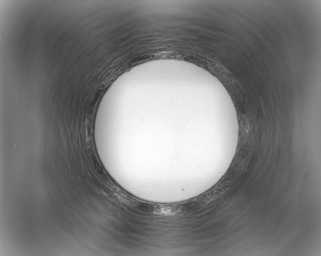 X0000061140565200512022250